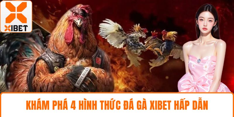 Khám phá 4 hình thức đá gà XIBET hấp dẫn