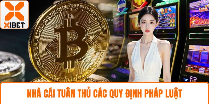 Nhà cái tuân thủ các quy định pháp luật