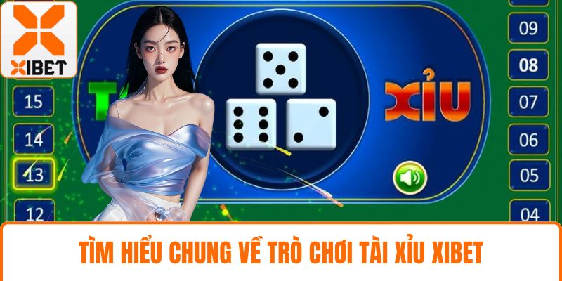 Tìm hiểu chung về trò chơi tài xỉu XIBET