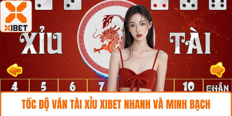 Tốc độ ván tài xỉu XIBET  nhanh và minh bạch